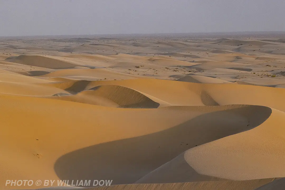 Wodow Photographics