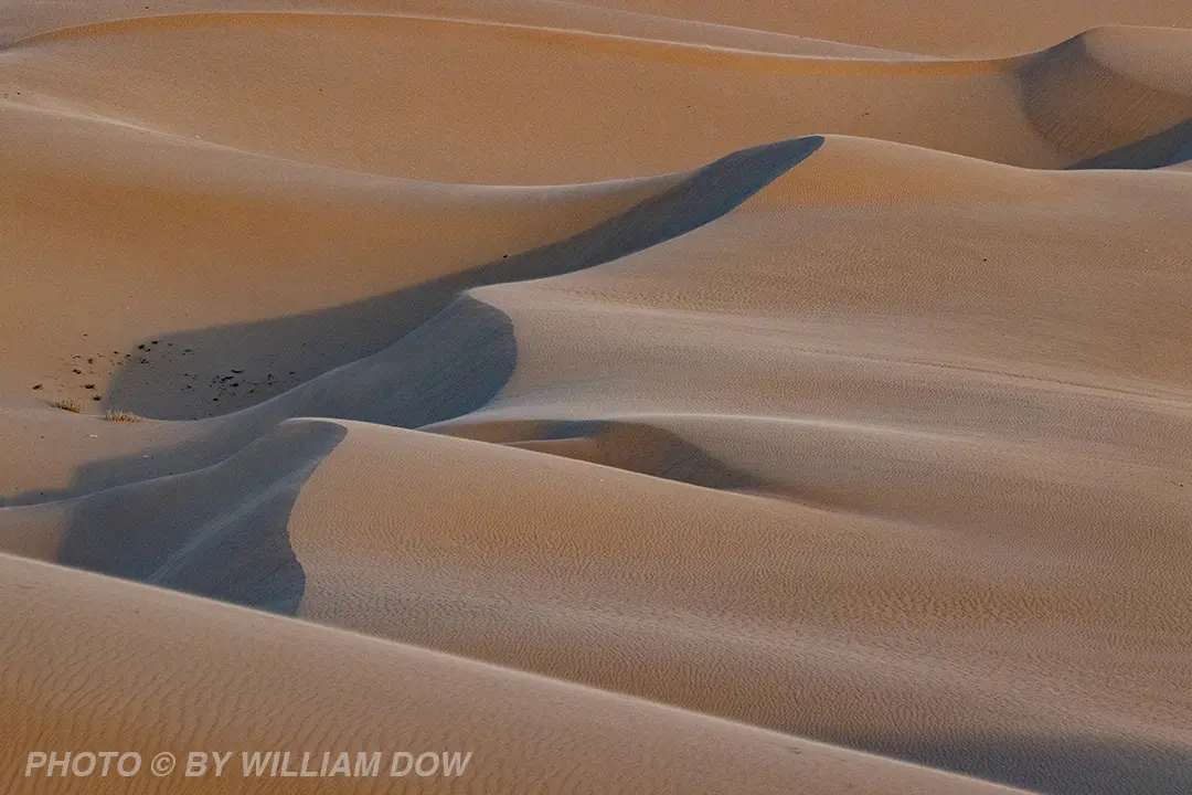 Wodow Photographics