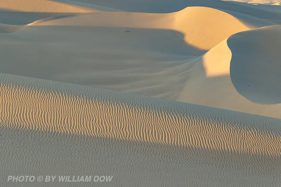 Wodow Photographics