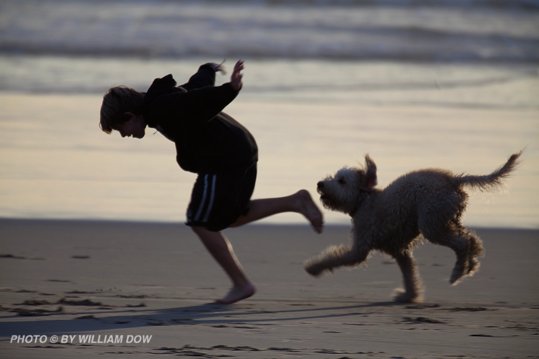 Wodow Photographics